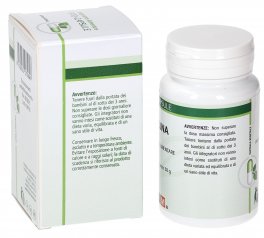 Inulina - Capsule - 2