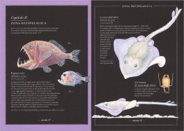 Inventario Illustrato degli Abissi — Libro - 3
