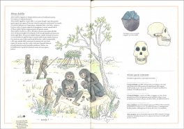 Inventario Illustrato della Preistoria — Libro - 3