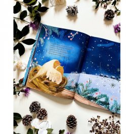 Inverno — Libro - 6