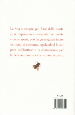 Invisibile Meraviglia — Libro - 2