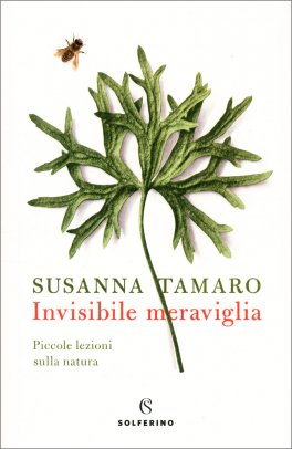 Invisibile Meraviglia — Libro - 1