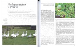 Io Autosufficiente: Lascio Tutto e Vado a Vivere in Campagna — Libro - 3