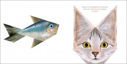 Io e il Mio Gatto — Libro/Gioco - 4
