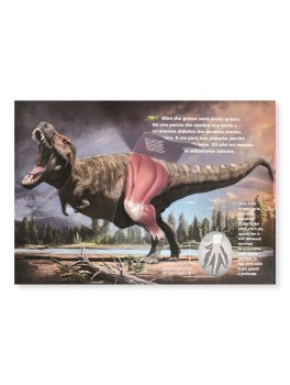 Io Sono un T-Rex - La Mia Vita da Piccolo Dinosauro — Libro - 3