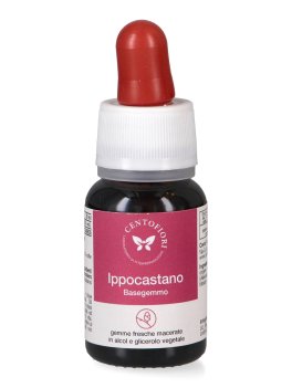 Ippocastano - Basegemmo - 2