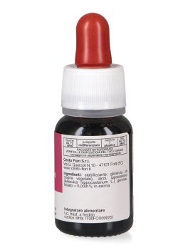 Ippocastano - Basegemmo - 3