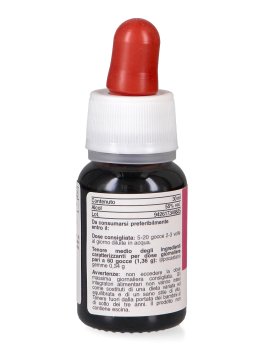 Ippocastano - Basegemmo - 4