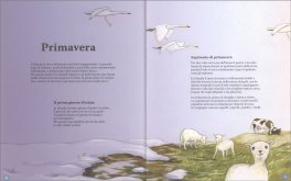 Islanda per Giovani Viaggiatori — Libro - 3