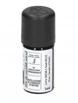 Issopo - Olio Essenziale - 2