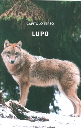 Italia Selvatica — Libro - 3