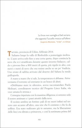 Italia Selvatica — Libro - 4