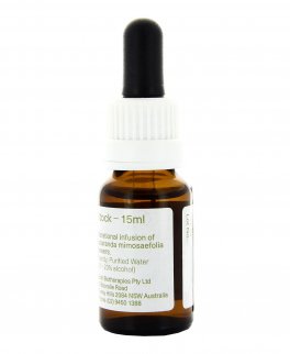 Jacaranda - Essenza Floreale Australiana Singola - 2