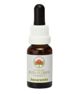 Jacaranda - Essenza Floreale Australiana Singola - 1