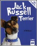 Jack Russel Terrier