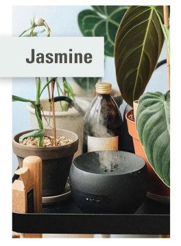 Jasmine - Diffusore di Fragranze a Ultrasuoni - 3