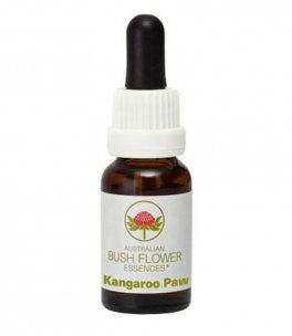 Kangaroo Paw - Fiori australiani - 15 ml - 1