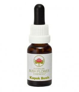 Kapok Bush - Fiori australiani - 15 ml - 1