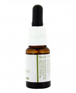 Kapok Bush - Essenza Floreale Australiana Singola - 3