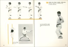 Karate Kata Heian 5 — Libro - 3