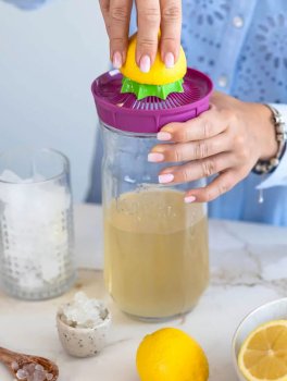 Kefir Fermenter - Kit per l'Autoproduzione del Kefir di Latte o d'Acqua  - Piccolo - 5