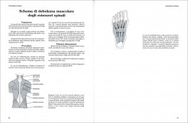 Kinesiologia Applicata -  Flowchart Manual — Libro - 3
