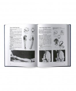 Kinesiologia Applicata - Vol I — Libro - 3