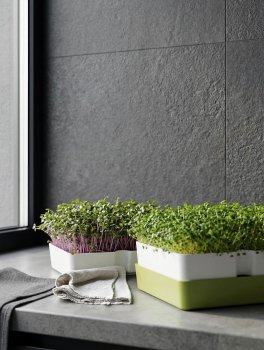Kit Geo Smart Greens - Germogliatore per Microgreens - 6