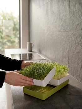 Kit Geo Smart Greens - Germogliatore per Microgreens - 7