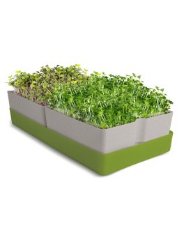 Kit Geo Smart Greens - Germogliatore per Microgreens - 8