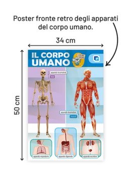 Kit "Il Corpo Umano" — Libro - 4