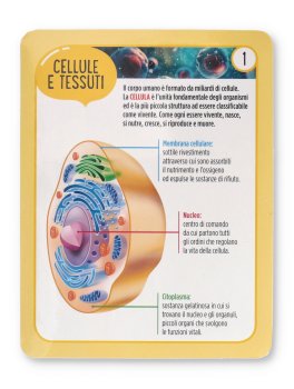 Kit "Il Corpo Umano" — Libro - 6