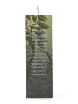 Kit Sentori Equatoriali - con Yucca Diffusore ad Ultrasuoni - 6