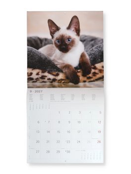 Kittens 2027 - Calendario Da Parete (161853) — Calendario - 2