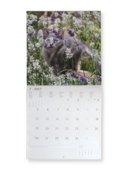 Kittens 2027 - Calendario Da Parete (161853) — Calendario - 3