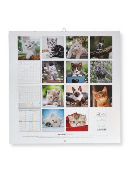 Kittens 2027 - Calendario Da Parete (161853) — Calendario - 4