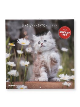 Kittens 2027 - Calendario Da Parete (161853) — Calendario - 1