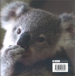 Koalizziamoci — Libro - 2