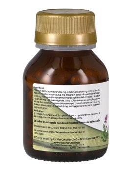 Koligea Plus - 4