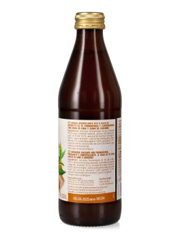 Kombucha Biologico - Lime e Zenzero - 2
