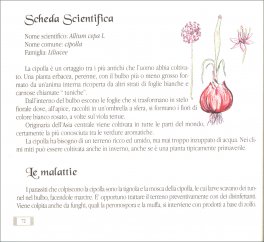 L'Aglio e la Cipolla per la buona tavola e la salute — Libro - 3