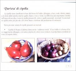 L'Aglio e la Cipolla per la buona tavola e la salute — Libro - 4