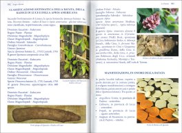 L'Agricoltura degli Dei - La Patata — Libro - 3