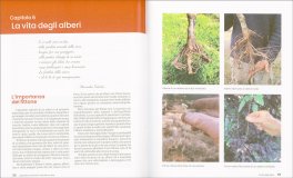 L'Agricoltura Naturale e l'Arte del Non Fare — Libro - 3