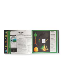 L'Albero della Vita — Libro - 3