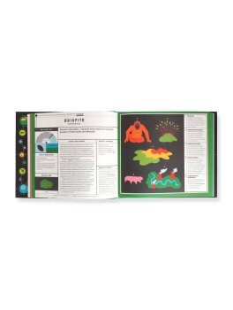 L'Albero della Vita — Libro - 2