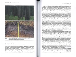 L'Albero - Vita e Morte di un Immortale — Libro - 3