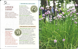 L'Almanacco del Buon Vivere — Libro - 4