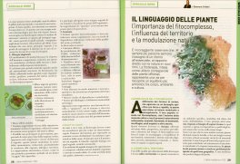 L'Altra Medicina N. 152 - Ottobre 2025 — Rivista - 3