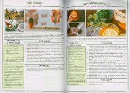 L’Antica Apotecaria Casareccia: 250 Rimedi Potenti a Portata di Mano — Libro - 3